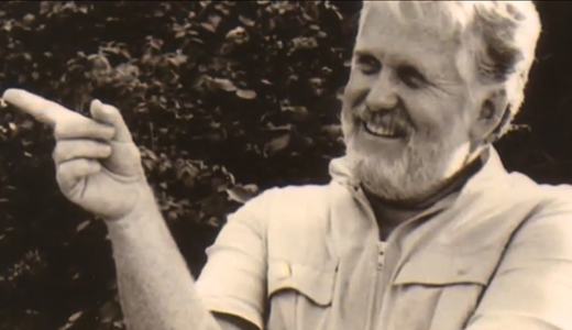 Vineyard Renewal and Signs-and-Wonders Movement — 1974-1990s